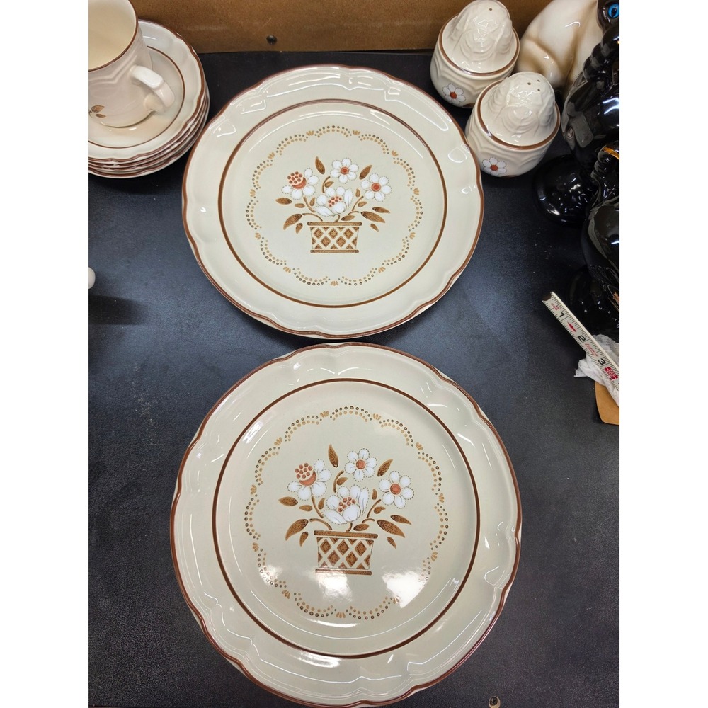 Hearthside Cumberland Mayblossom Stoneware Dinner Plates Set of 2 Japan 10.5"